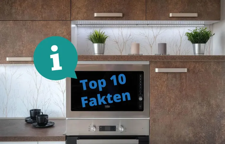 10 Fakten zur Mikrowelle