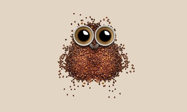 Eule aus Kaffeebohnen