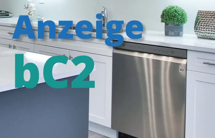 Samsung Geschirrspüler Fehler bC2