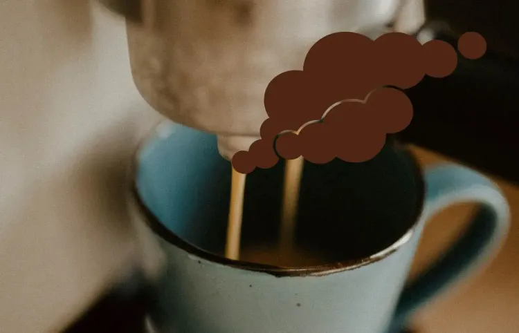 WMF Kaffeemaschine Temperaturfühler